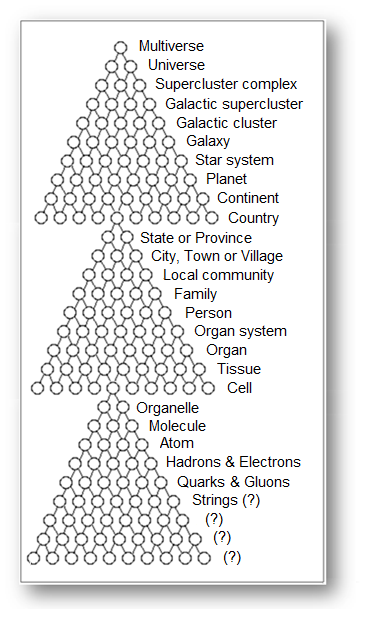Holon visualization — network diagram